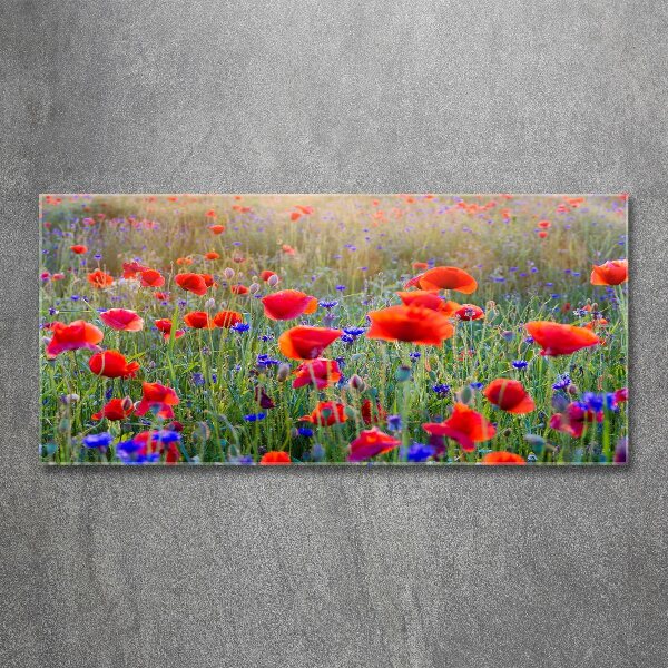 Acrylic print Field flowers