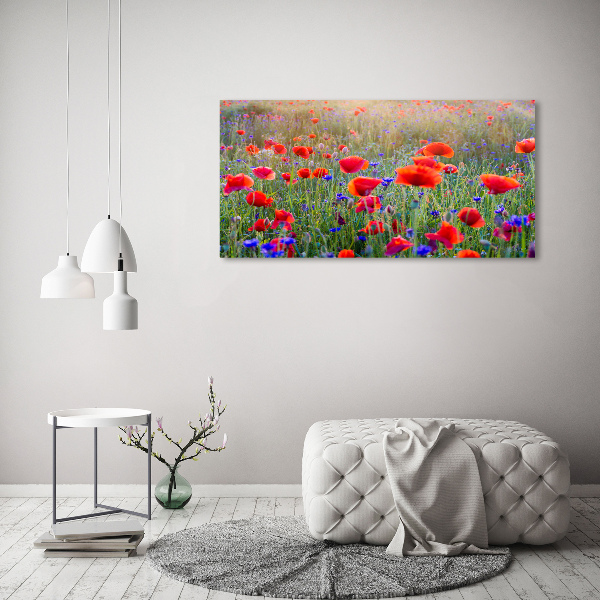 Acrylic print Field flowers