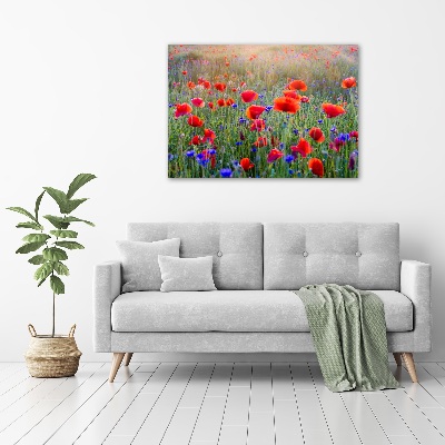 Acrylic print Field flowers