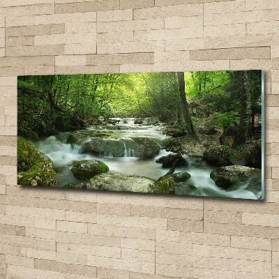 Print on acrylic Waterfall in the forest