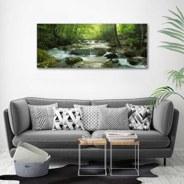 Print on acrylic Waterfall in the forest