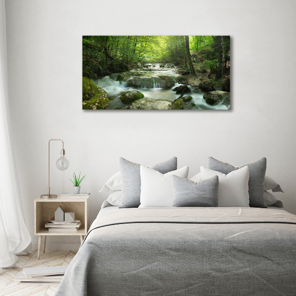 Print on acrylic Waterfall in the forest