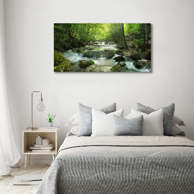 Print on acrylic Waterfall in the forest