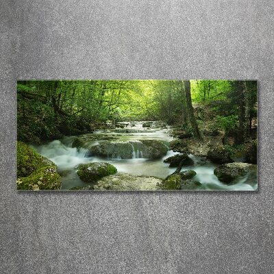 Print on acrylic Waterfall in the forest