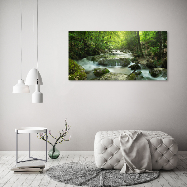 Print on acrylic Waterfall in the forest