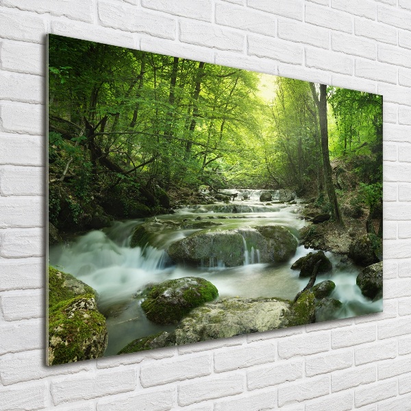 Print on acrylic Waterfall in the forest