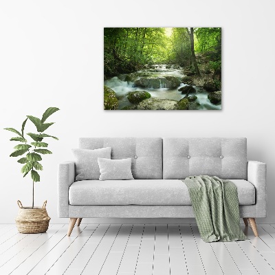 Print on acrylic Waterfall in the forest