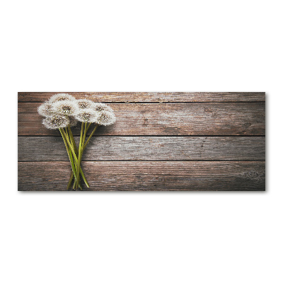 Acrylic print Dandelion wood