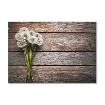 Acrylic print Dandelion wood