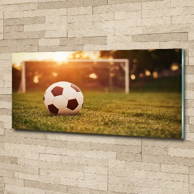 Acrylic wall art Ball on the pitch