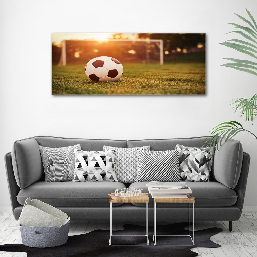 Acrylic wall art Ball on the pitch