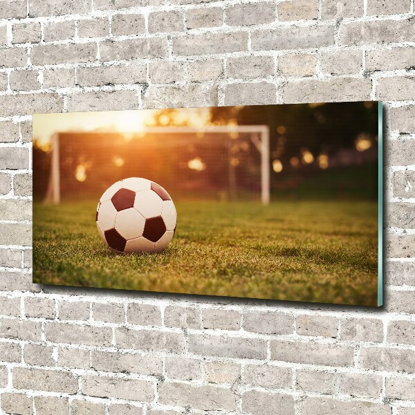 Acrylic wall art Ball on the pitch