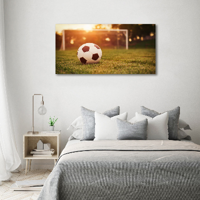 Acrylic wall art Ball on the pitch