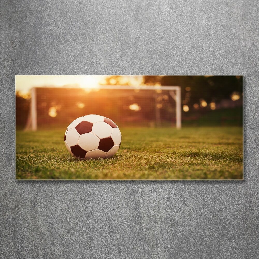 Acrylic wall art Ball on the pitch