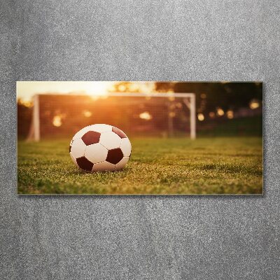 Acrylic wall art Ball on the pitch