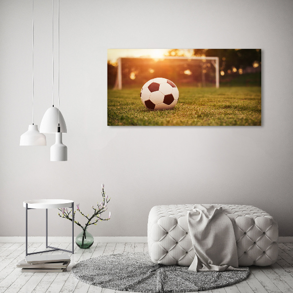 Acrylic wall art Ball on the pitch