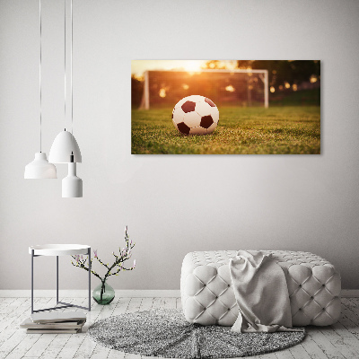 Acrylic wall art Ball on the pitch