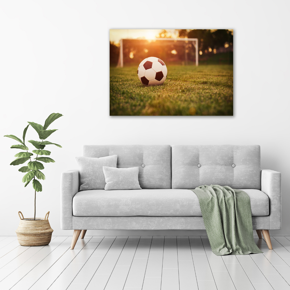 Acrylic wall art Ball on the pitch