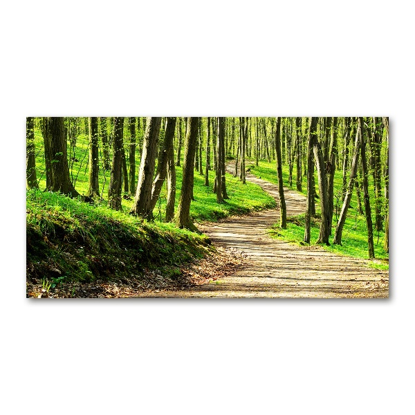 Wall art acrylic Path in the forest