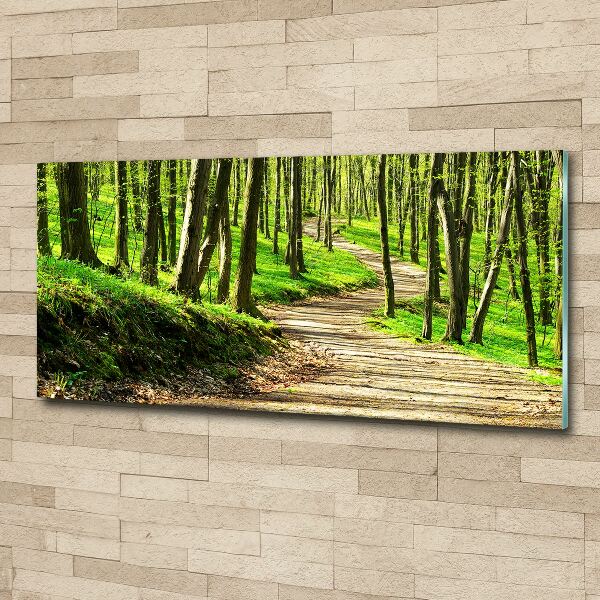 Wall art acrylic Path in the forest