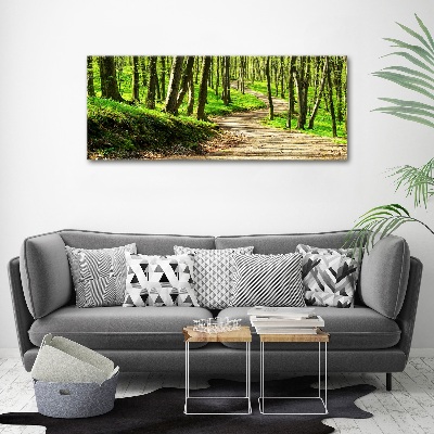 Wall art acrylic Path in the forest