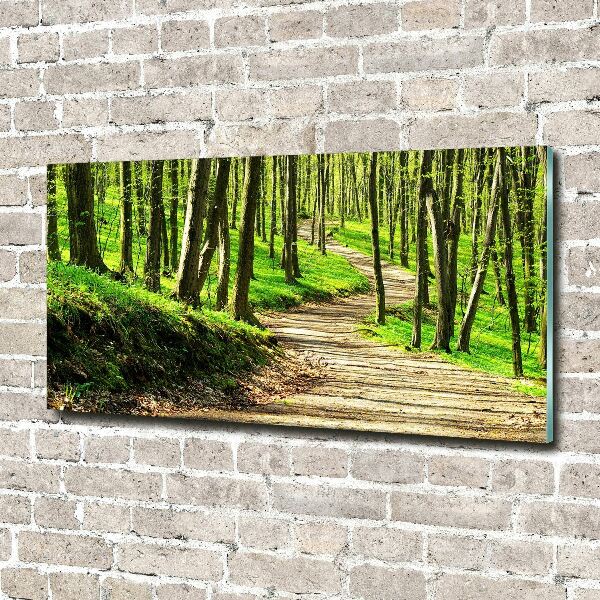 Wall art acrylic Path in the forest