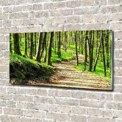 Wall art acrylic Path in the forest