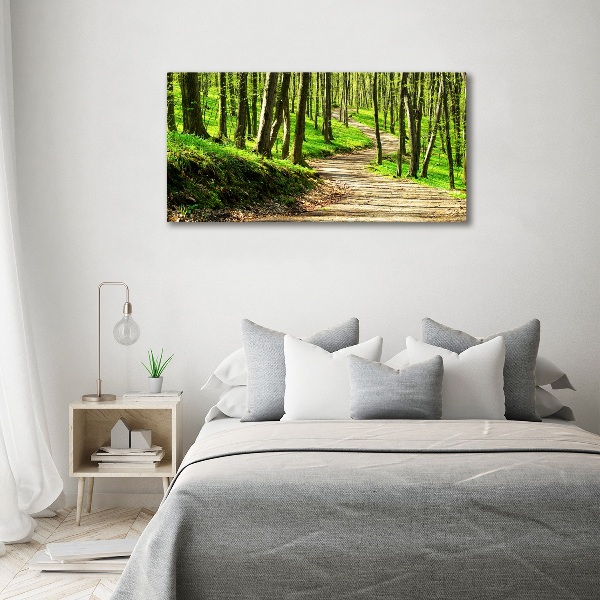 Wall art acrylic Path in the forest