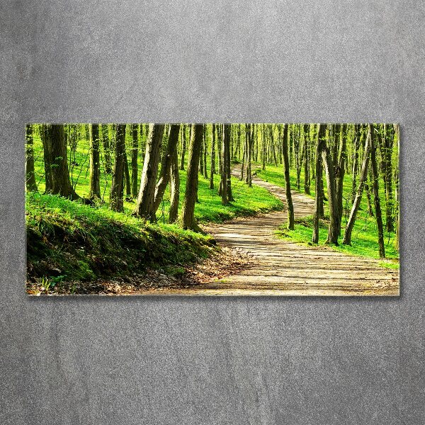 Wall art acrylic Path in the forest