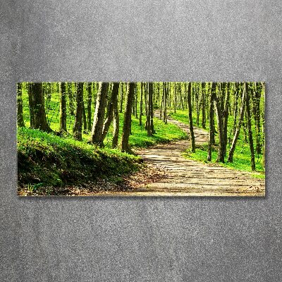 Wall art acrylic Path in the forest