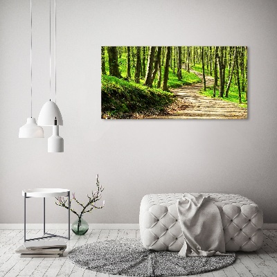 Wall art acrylic Path in the forest