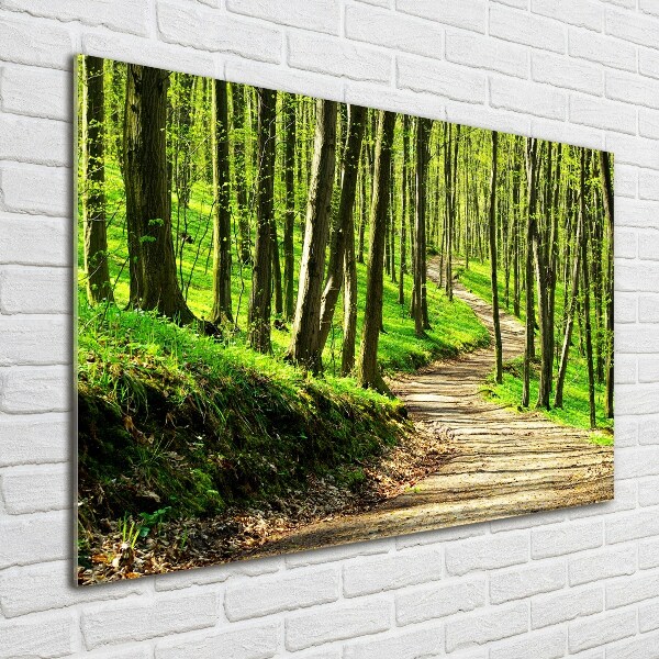 Wall art acrylic Path in the forest