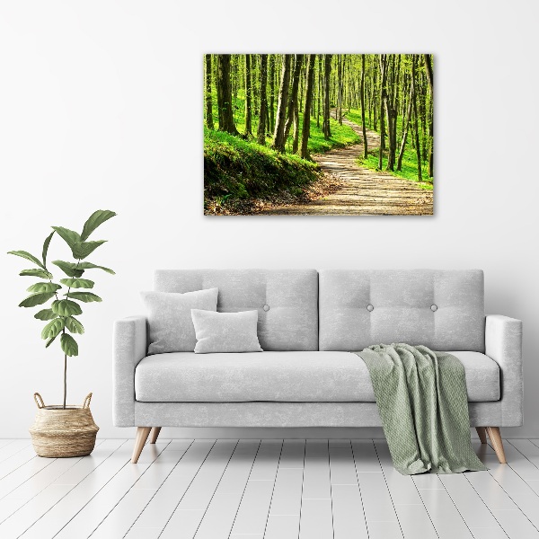 Wall art acrylic Path in the forest