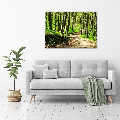 Wall art acrylic Path in the forest