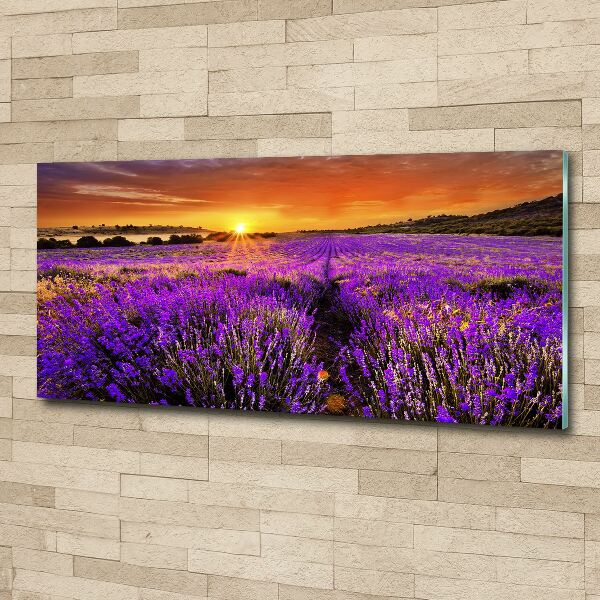 Acrylic wall art Lavender field