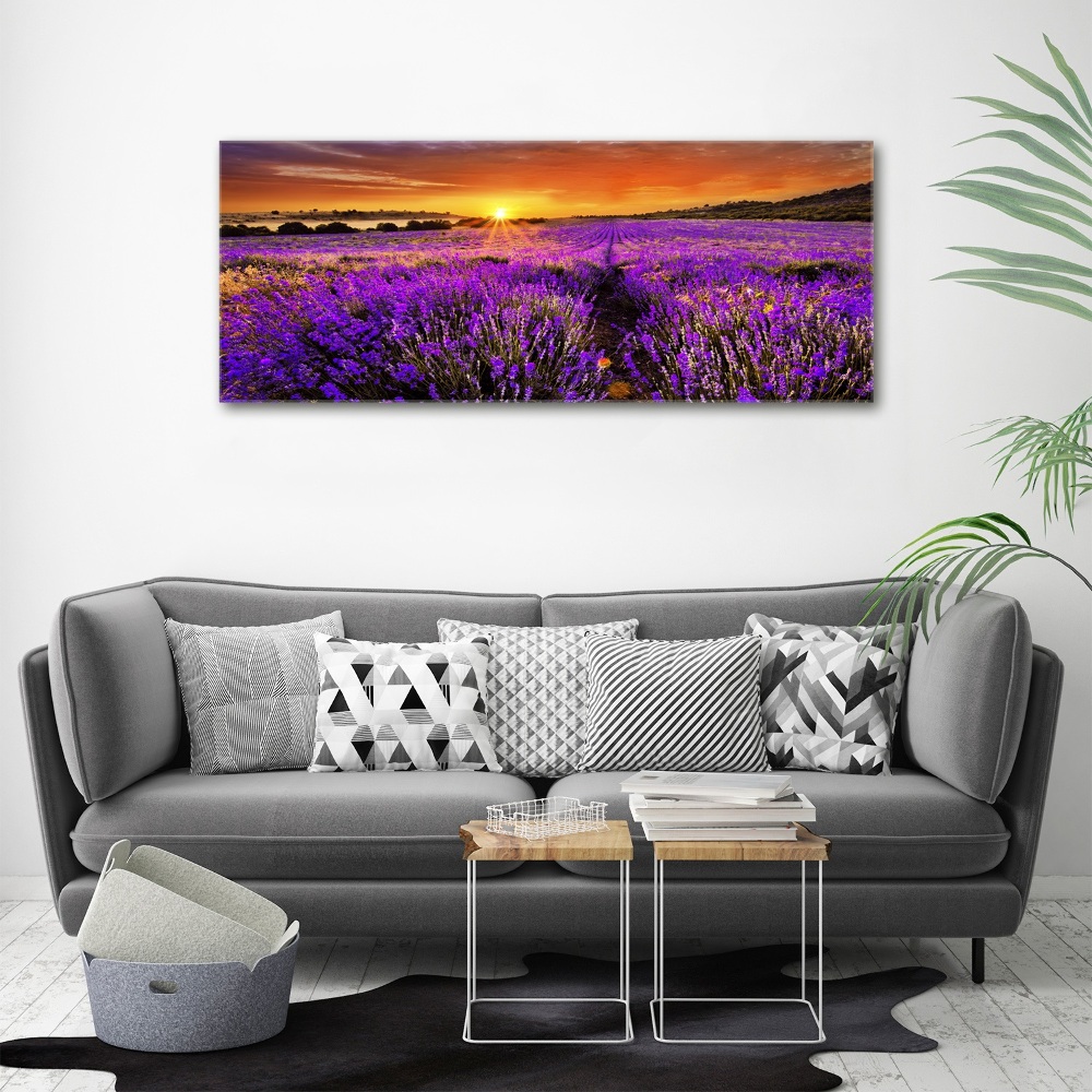 Acrylic wall art Lavender field