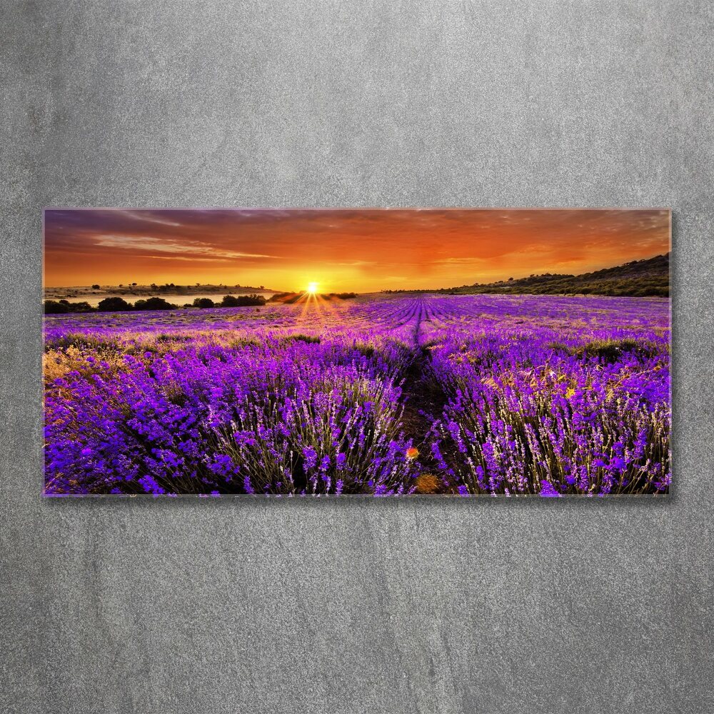 Acrylic wall art Lavender field