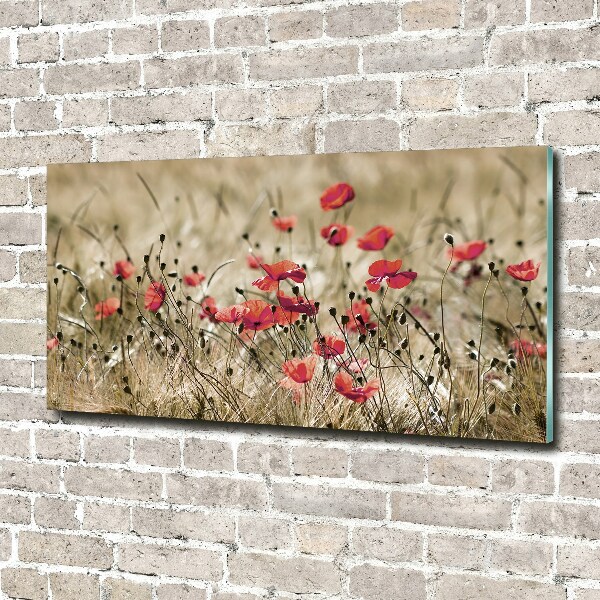 Glass acrylic wall art Macs