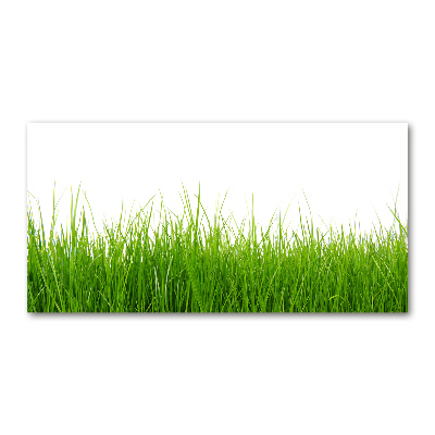 Glass acrylic wall art Grass