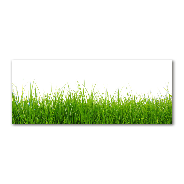 Glass acrylic wall art Grass