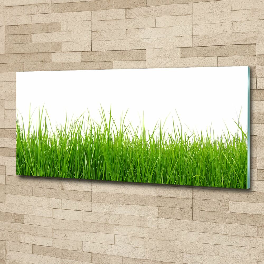 Glass acrylic wall art Grass