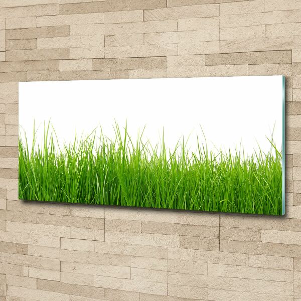 Glass acrylic wall art Grass