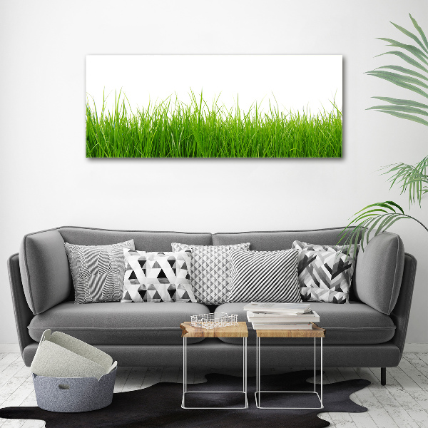 Glass acrylic wall art Grass