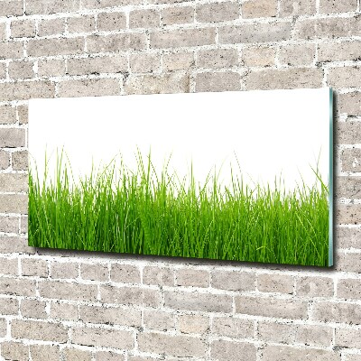 Glass acrylic wall art Grass