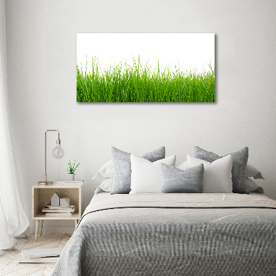 Glass acrylic wall art Grass