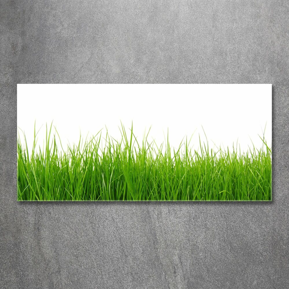 Glass acrylic wall art Grass