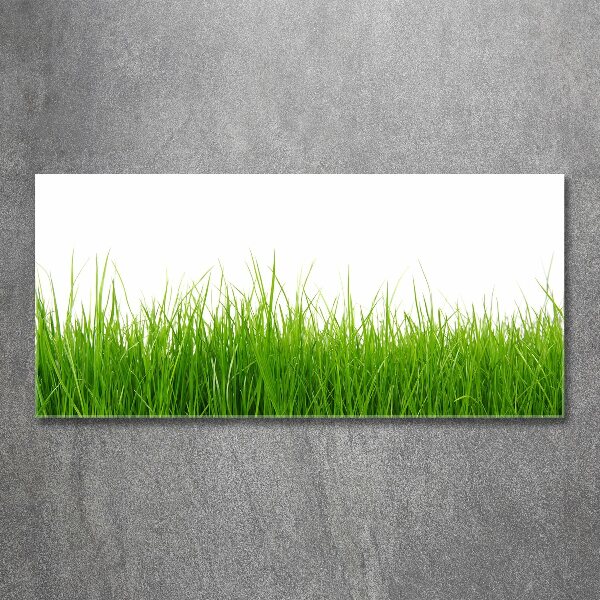 Glass acrylic wall art Grass