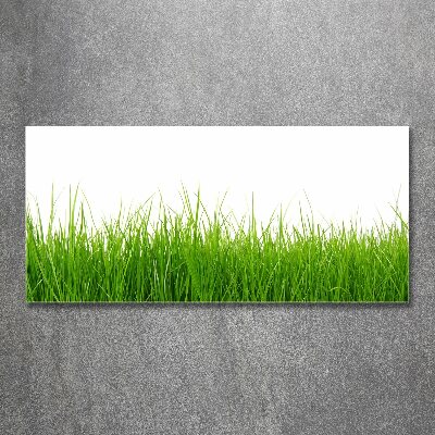 Glass acrylic wall art Grass