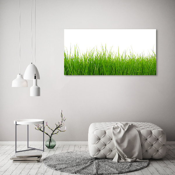 Glass acrylic wall art Grass