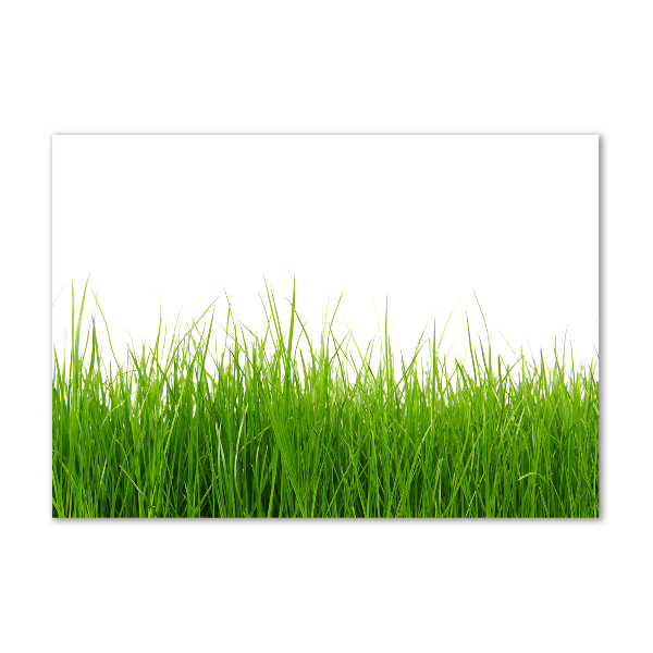 Glass acrylic wall art Grass